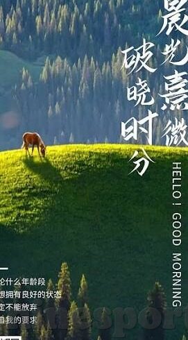热门文章